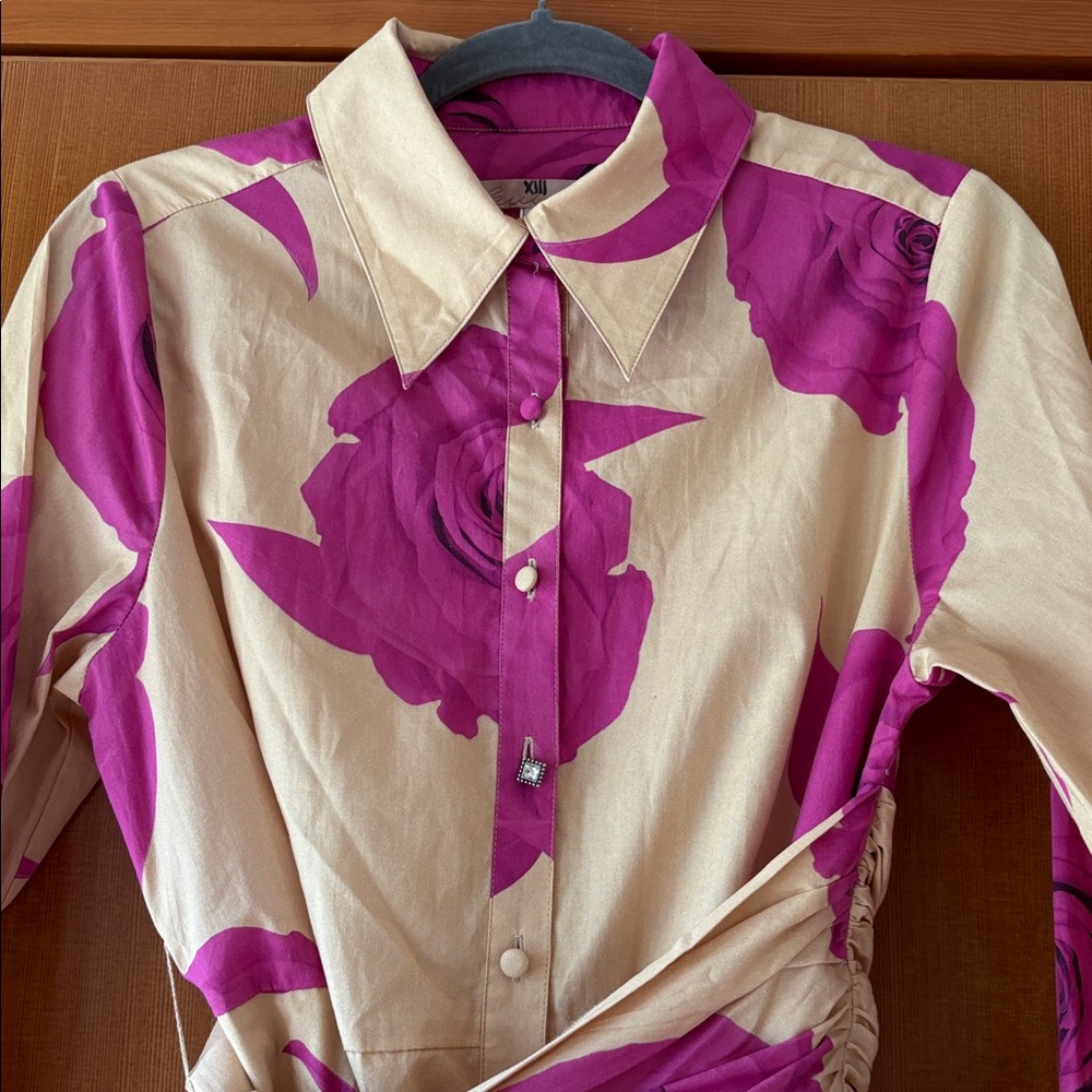 Hutch Pink and Tan Long Sleeve Dress - Picture 4 of 6